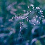 .. by xTive