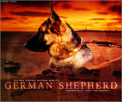 Com: German Shepherd BT