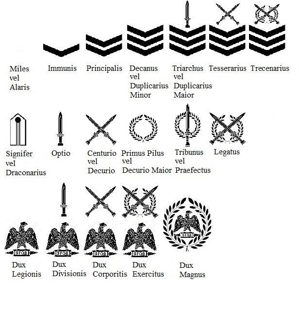 The ranks of the New Roman Army (concept) by Yuriy116 on DeviantArt