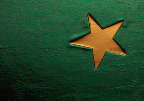 Star 2008