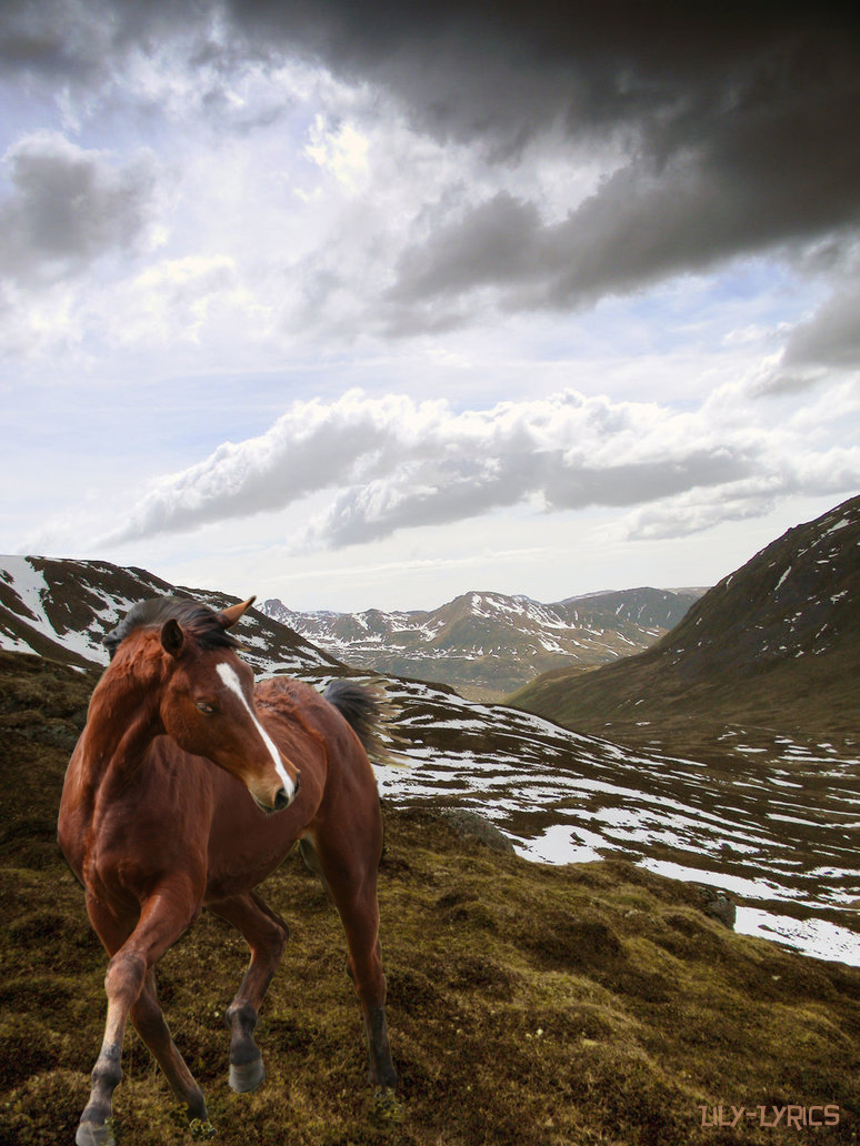 Mountain Top