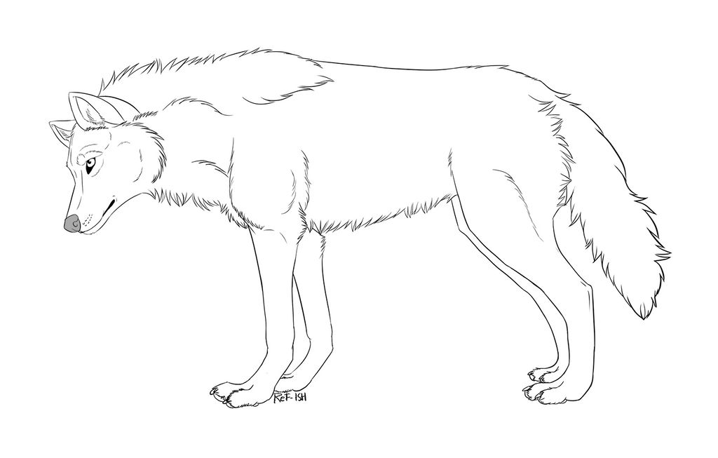 Wolf lineart / Free