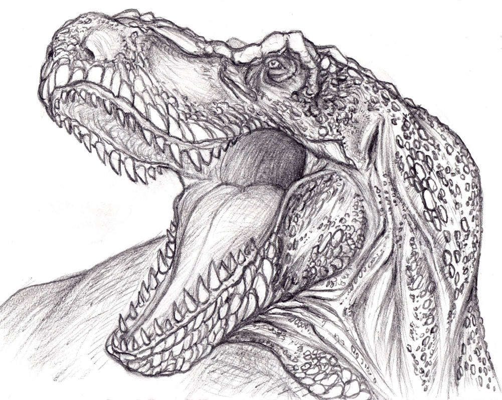 T. rex head drawing by ThisGuyDraws on DeviantArt
