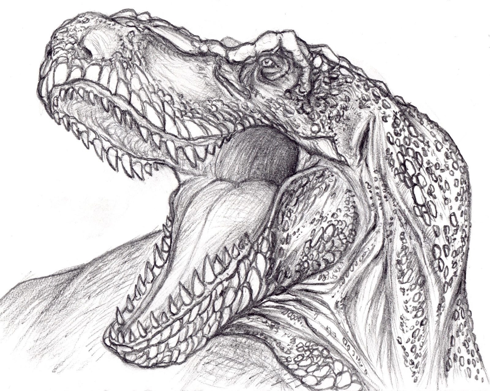 T. rex head drawing by ThisGuyDraws on DeviantArt