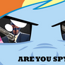 Are you spy