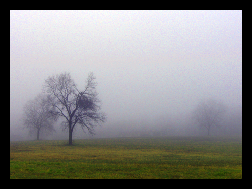 A Foggy Day in Downingtown