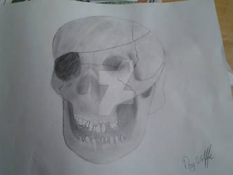 Just A Skull