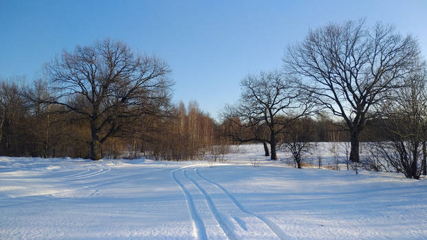 Winter road