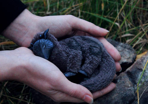 Sleeping gray dragon. art doll. ooak