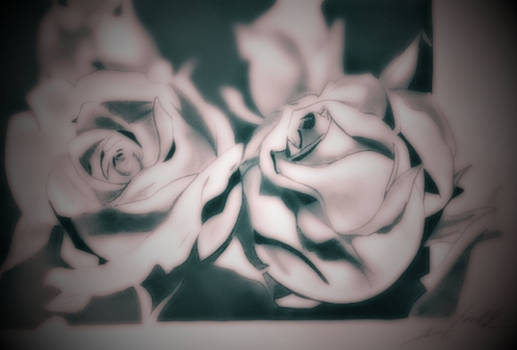 Double Roses