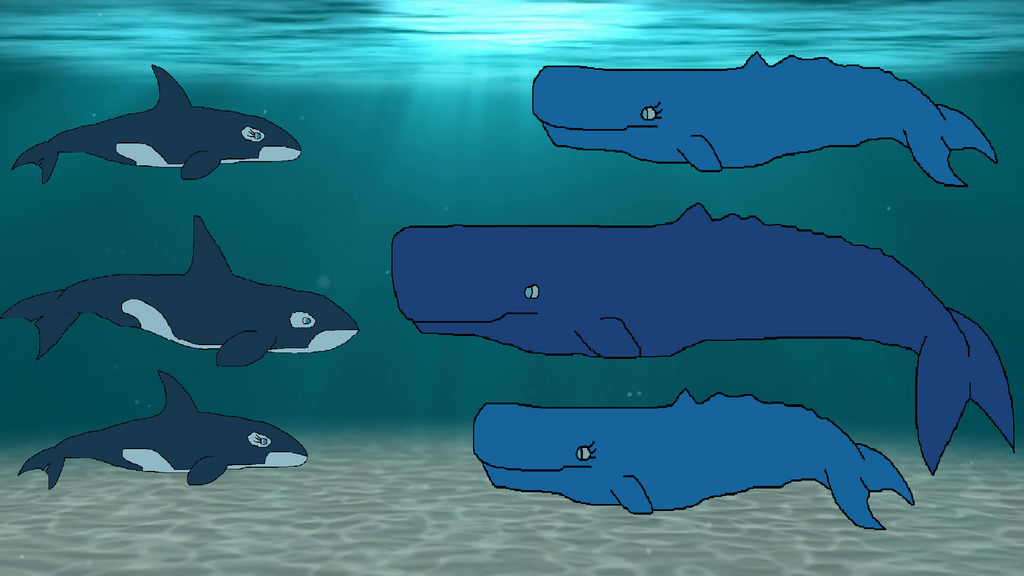 killer whale vs Sperm Whale by kevinlaboratory on DeviantArt killer whale vs Sperm Whale by kevinlaboratory on DeviantArt