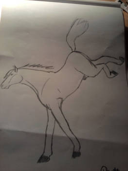 horse sketch 5