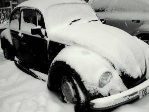 volkswagen in snow