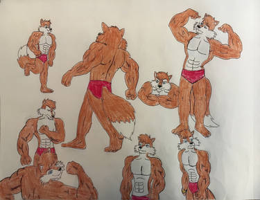 Lobo the Wolf Speedo Poses