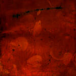 toucher couler by edredon