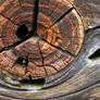 Wood 1