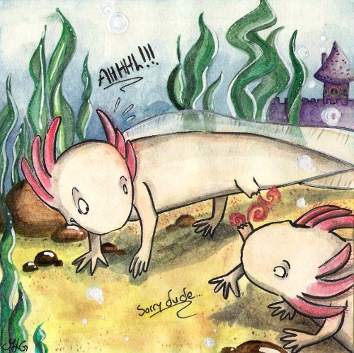 Axolotl...Sorry dude...