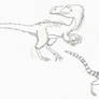 Dilong and Sinosauropteryx
