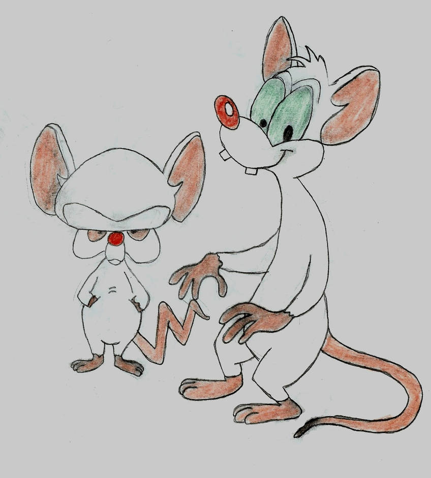 Pinky and the Brain by Albertonykus