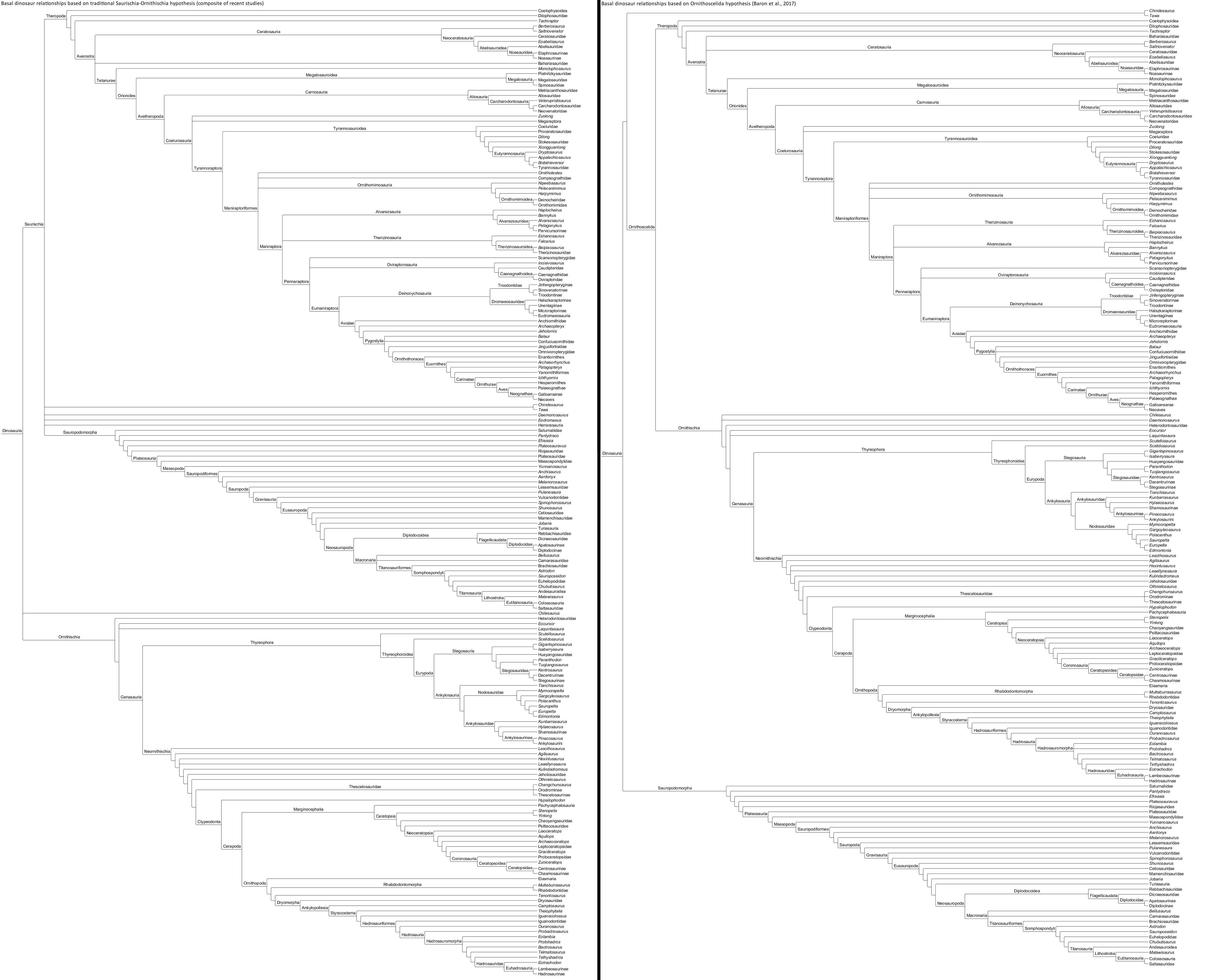 Dinosauria Phylogeny