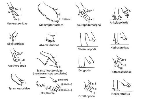 Dinosaur Hands