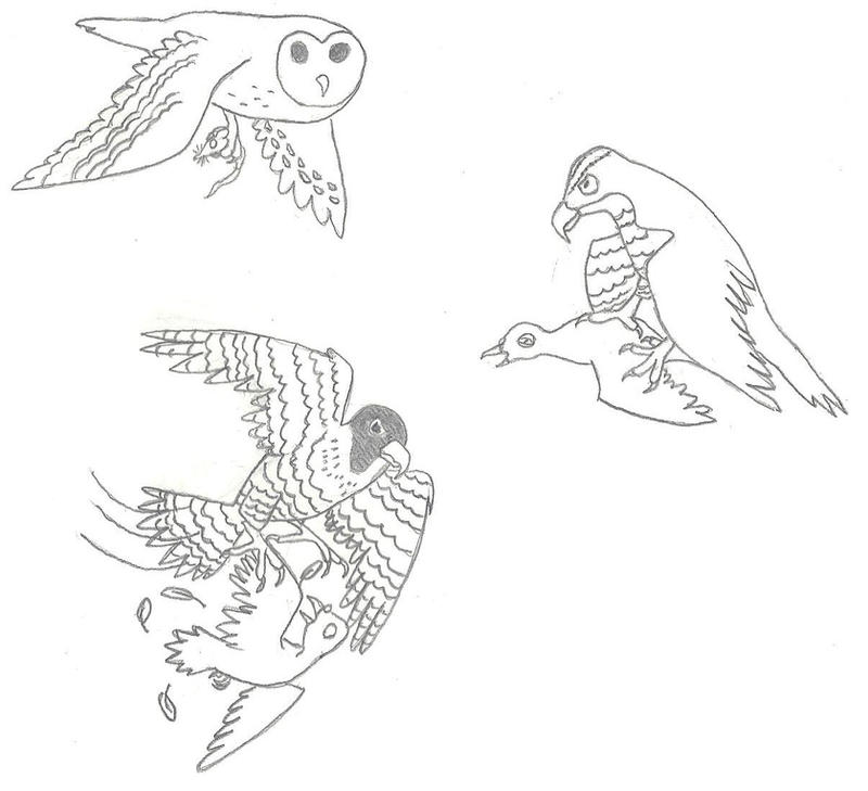 Pouncing Raptor Outline Raptor Attack by Albertonykus on DeviantArt