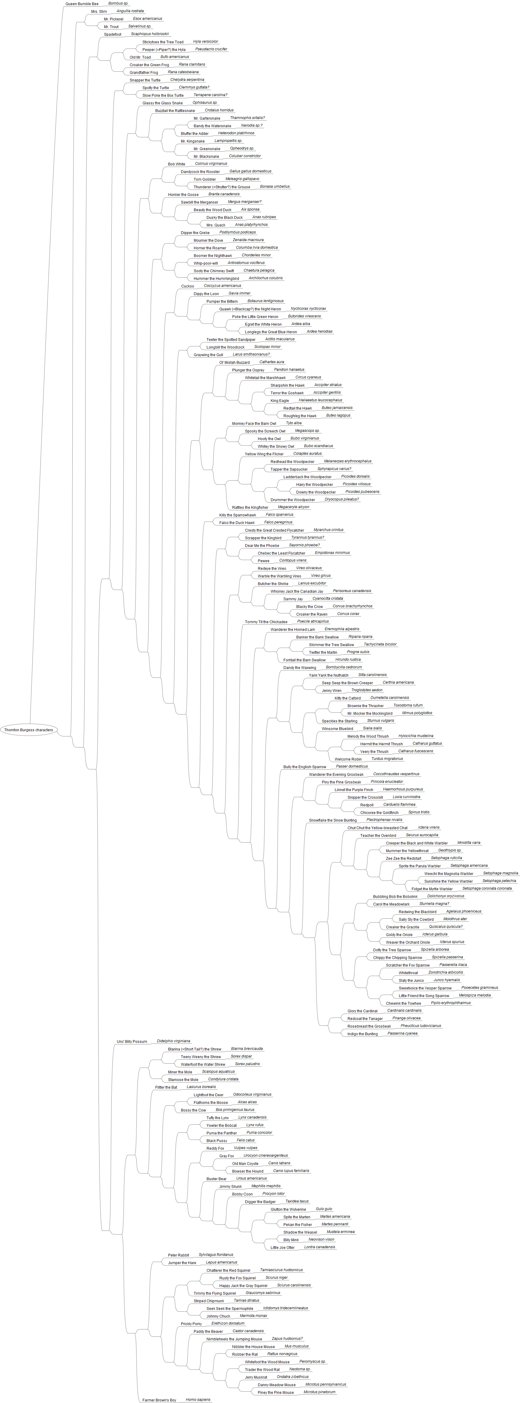 Thornton Burgess Characters Phylogeny