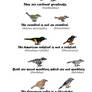 Never Trust Passerine Nomenclature