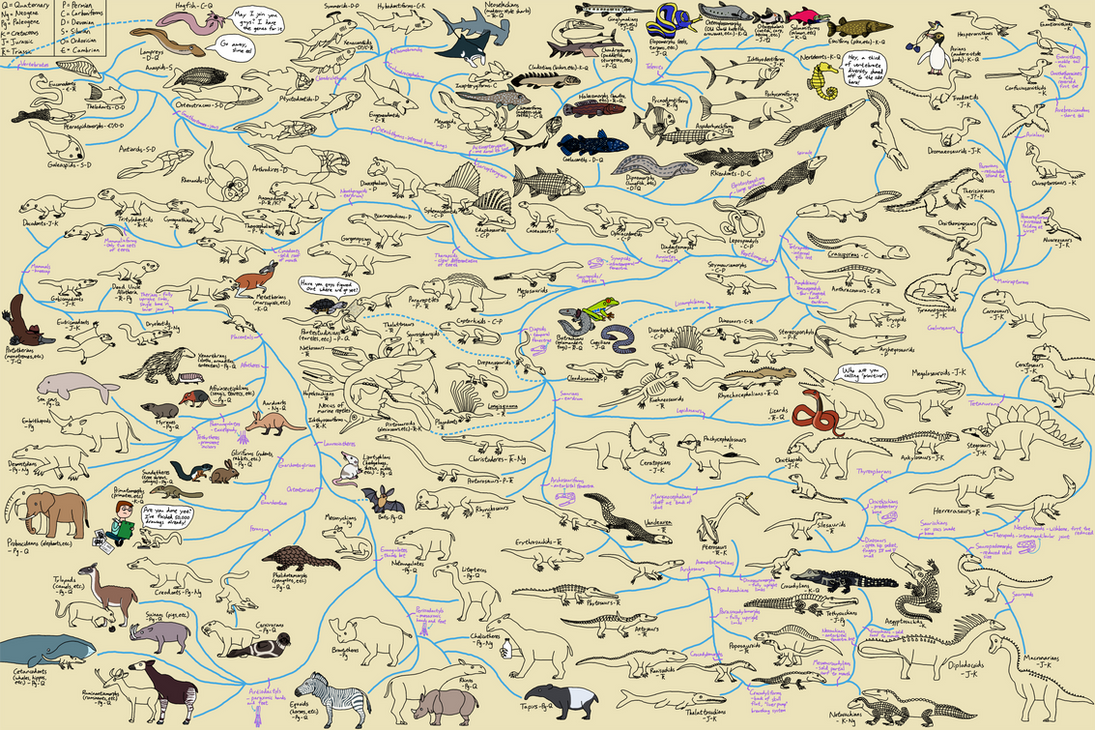The Cartoon Guide to Vertebrate Evolution by Albertonykus