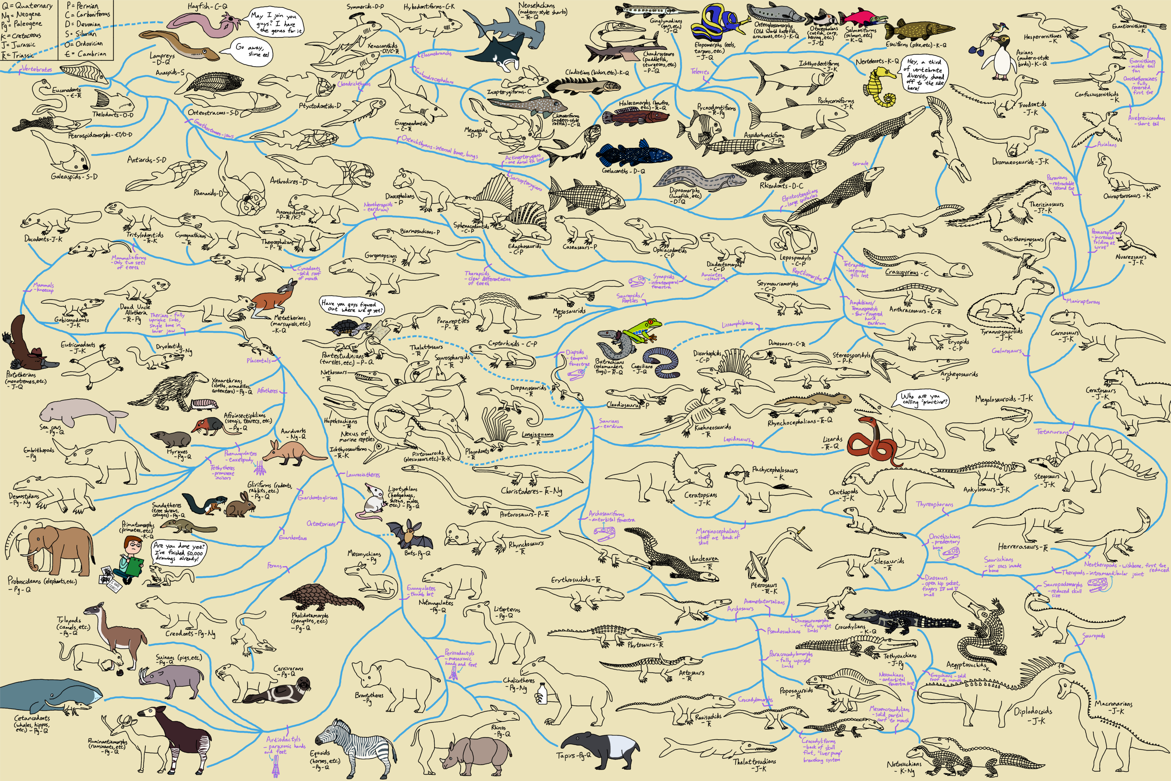 The Cartoon Guide to Vertebrate Evolution by Albertonykus