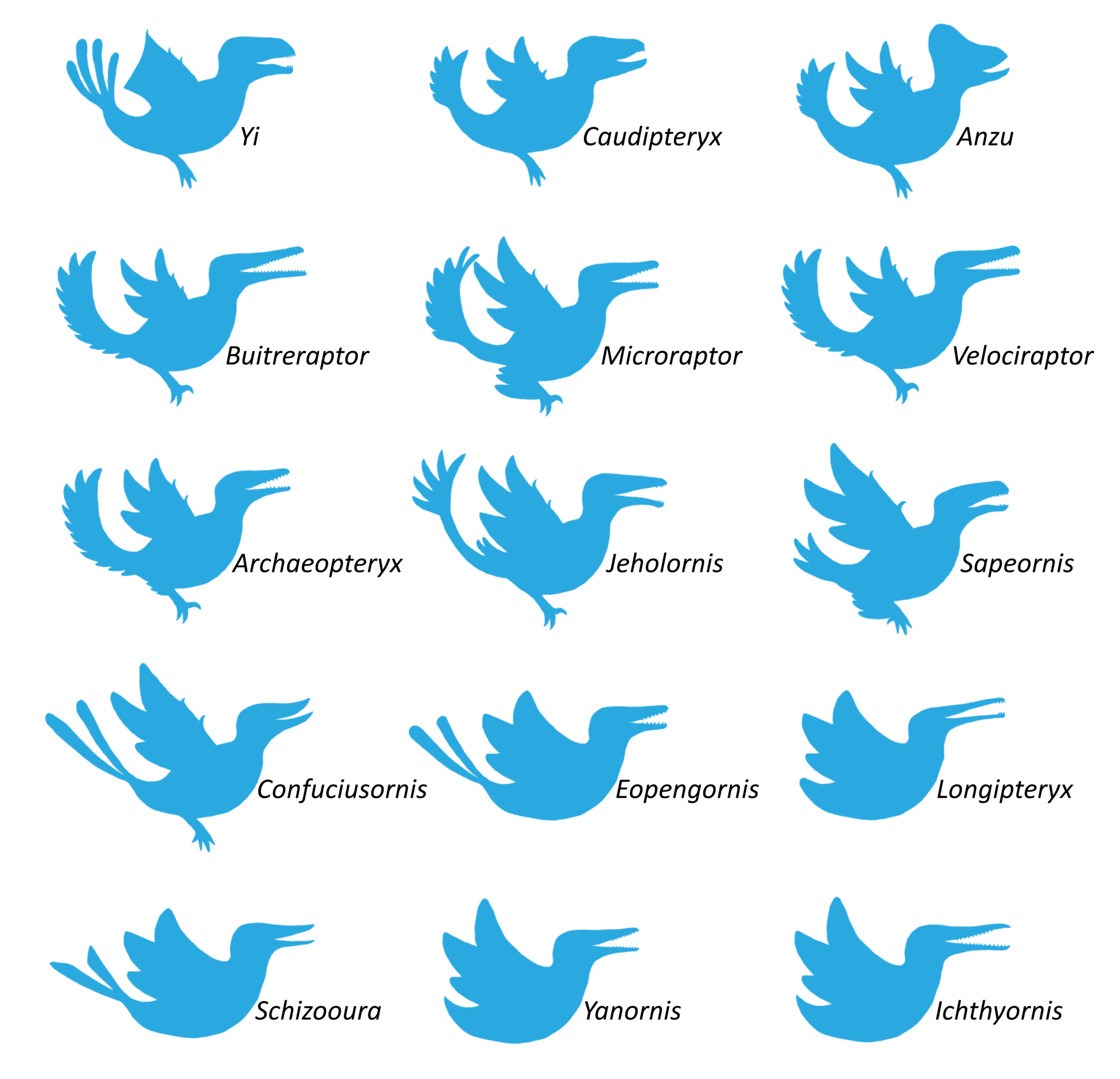 A Field Guide to Mesozoic Twitter Birds