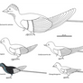 Confuciusornithiformes