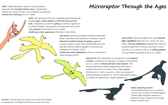 Microraptor Through the Ages