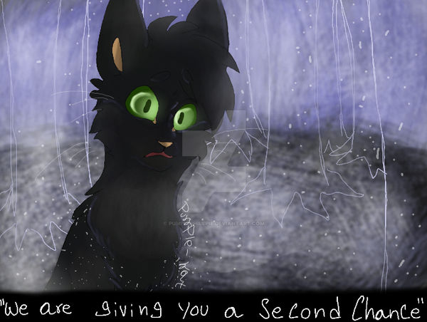 Ravenpaw, fake RP screenshot