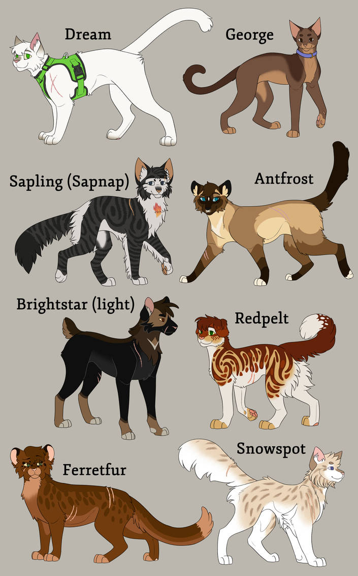 MCYT Warrior Cats AU 1 by aoifehorse on DeviantArt