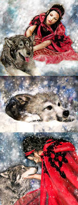 Wolf's Snow Collection