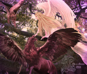 Flying in Imagination by LeenaHill Flying in Imagination by LeenaHill