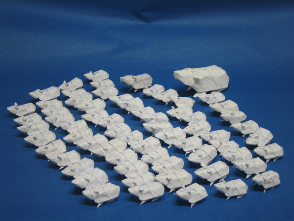Guinea Pig Army-Update