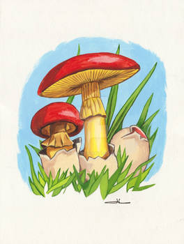 Mushrooms