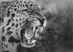 Leopard by Bengtern