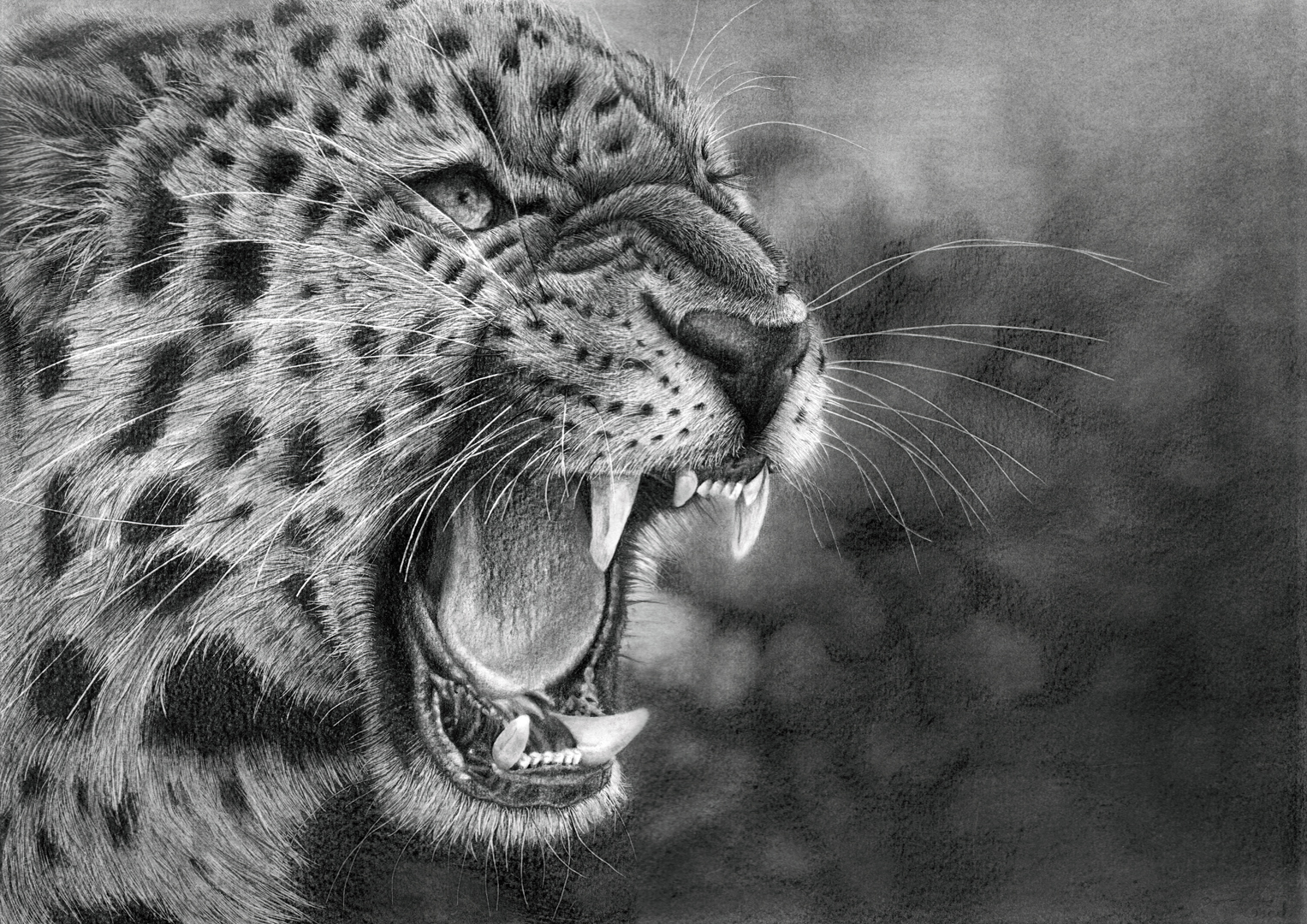 Leopard Slinking Drawing Leopard by Bengtern on DeviantArt
