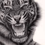 Tiger #2