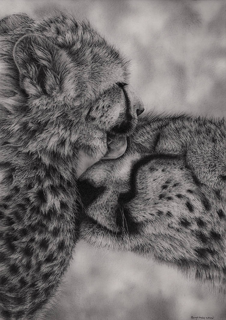 Cheetahs by Bengtern