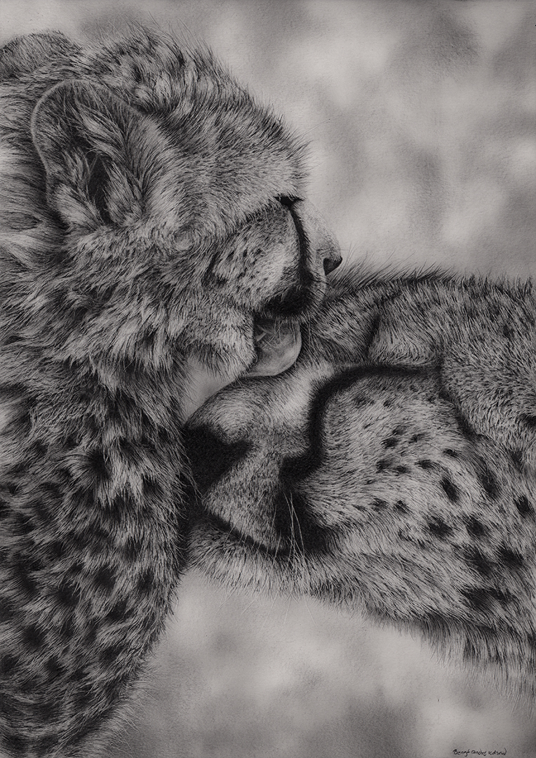 Cheetahs by Bengtern