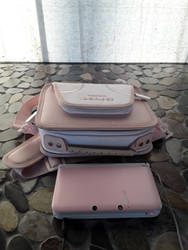 3DS XL Matching An Old DS Carrying Bag