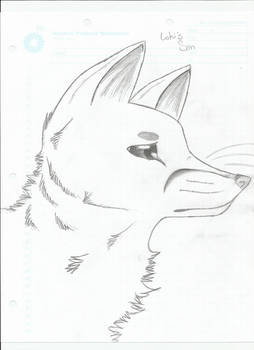 Wolf Drawing