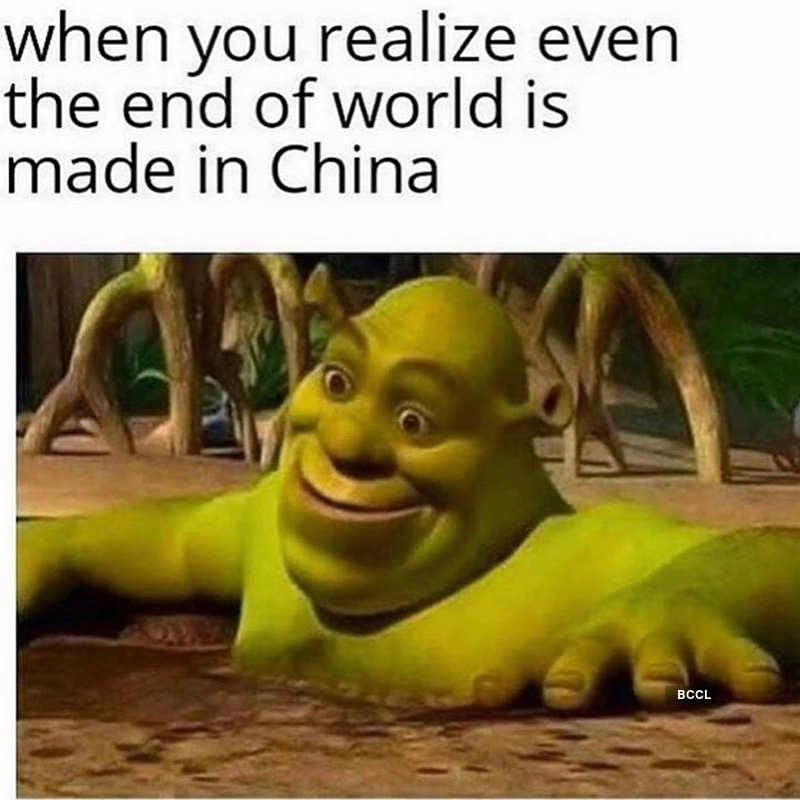 Shrek meme by fernandadelfiol on DeviantArt