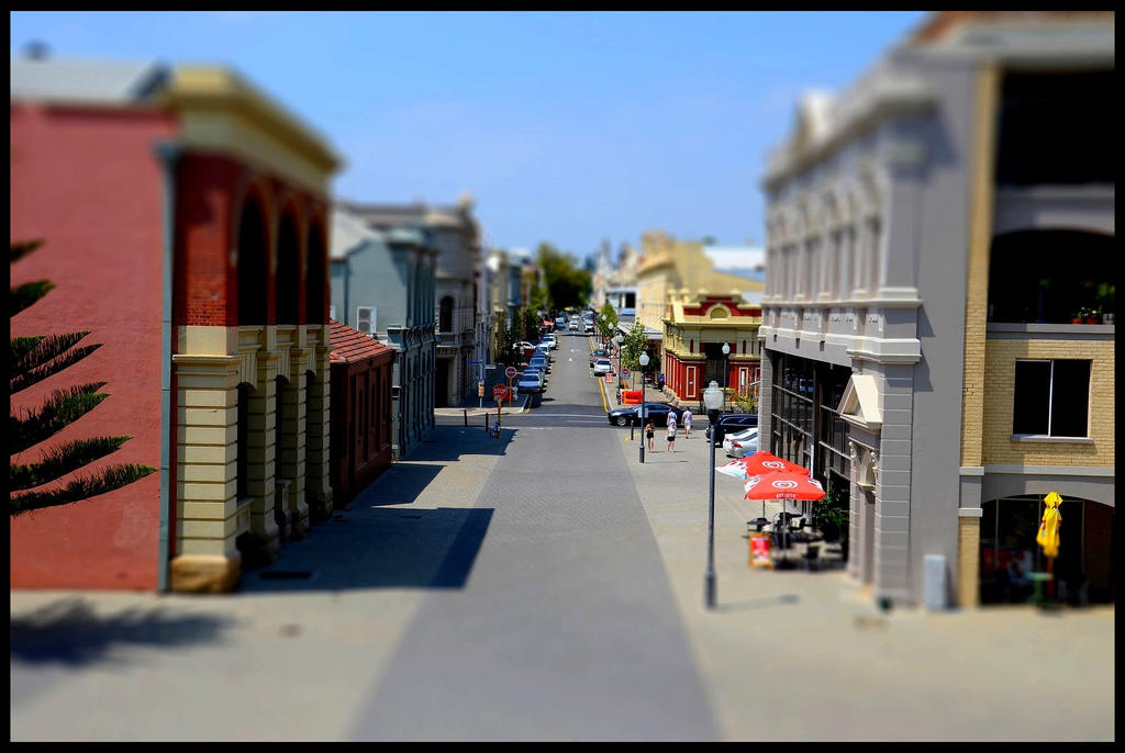 Tiny Freo