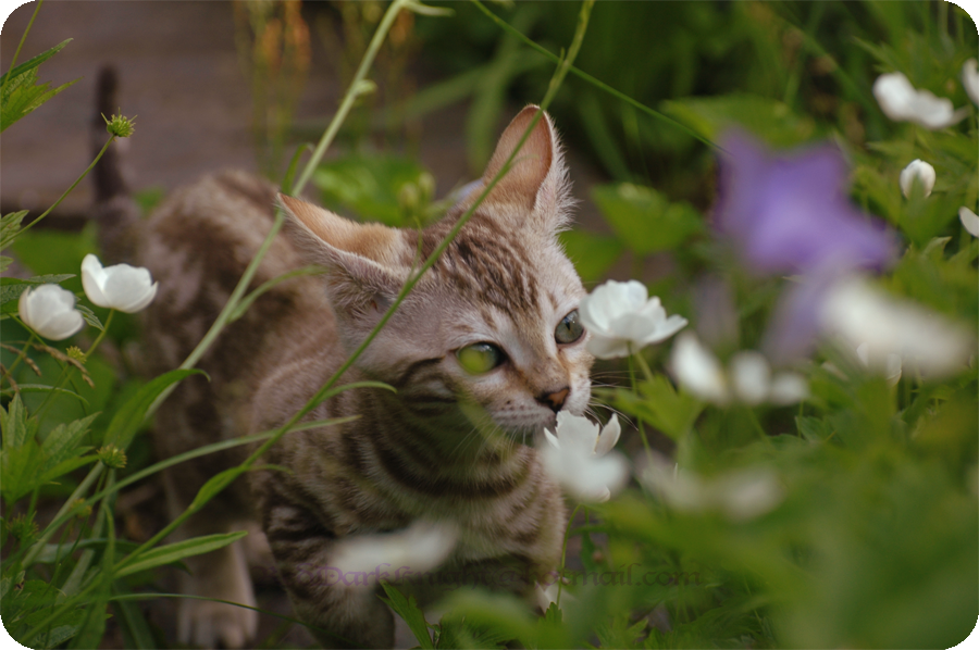 Stop and Smell the Flowers