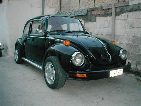 My VW Beetle